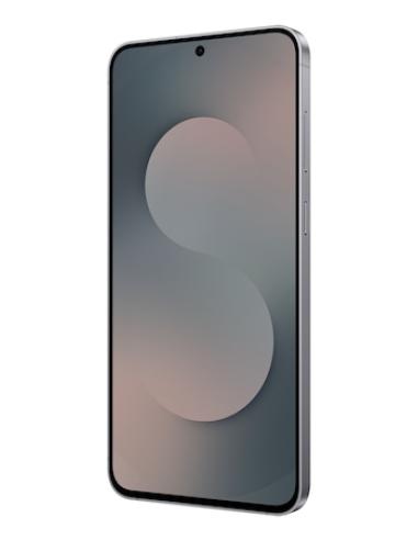 Samsung Galaxy S25 FE Enterprise Edition 17 cm (6.7") SIM doble Android 16.0 5G USB Tipo C 8 GB 128 GB 4900 mAh Negro