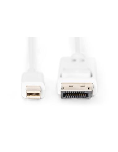 Digitus Cable de conexión DisplayPort