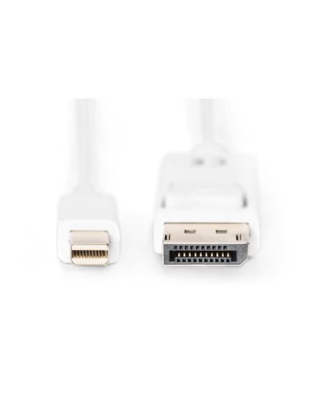 Digitus Cable de conexión DisplayPort
