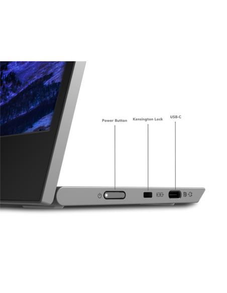 Lenovo L15 pantalla para PC 39,6 cm (15.6") 1920 x 1080 Pixeles Full HD LED Negro, Gris