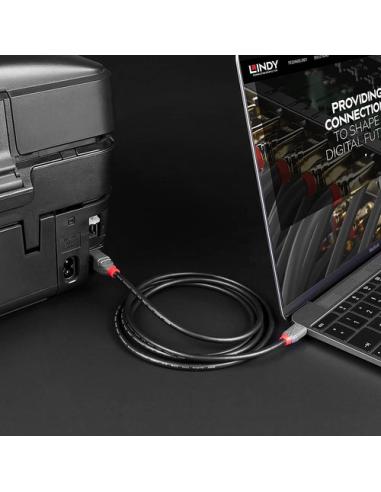 Lindy 36940 cable USB USB 2.0 0,5 m USB C USB B Negro