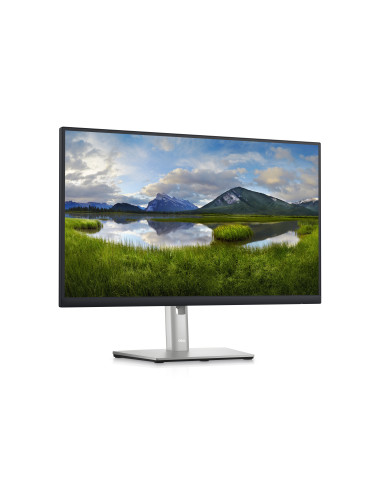 DELL P Series Monitor 60,45cm (23,8") – P2423D