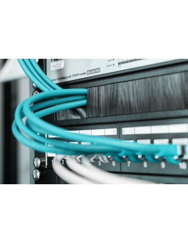 Digitus Regleta de cepillos para cables para armarios de 483 mm (19")