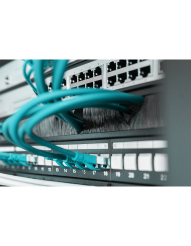 Digitus Regleta de cepillos para cables para armarios de 483 mm (19")