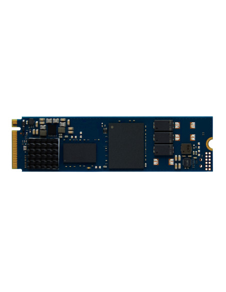 Kingston Technology 960G DC2000B PCIe 4.0 M.2 2280 Enterprise SSD