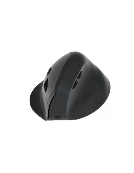 Equip 245120 ratón Universal mano derecha RF Wireless + Bluetooth Óptico 1600 DPI