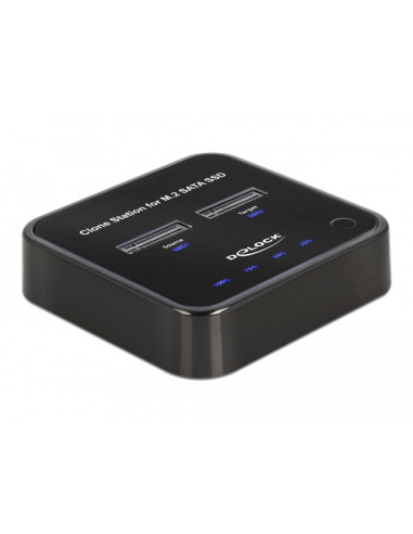 DeLOCK M.2 Estación de acoplamiento para 2 x M.2 SATA SSD con función de clonación