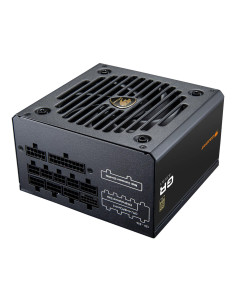 COUGAR CGRGDN-850 unidad de fuente de alimentación 850 W 20+4 pin ATX ATX Negro