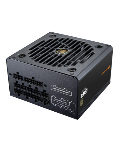 COUGAR CGRGDN-850 unidad de fuente de alimentación 850 W 20+4 pin ATX ATX Negro