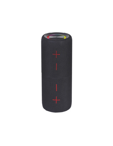 Aiwa BST-250 altavoz portátil o de fiesta Altavoz portátil estéreo Negro 20 W