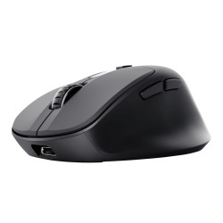 Trust 25991 Zevo, mano derecha, Óptico, RF Wireless + Bluetooth, 4000 DPI, Negro