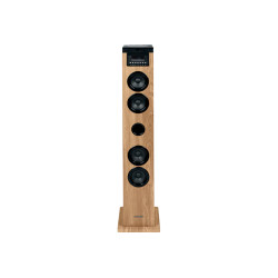 Thomson DS122CD DS122CD, Torre de sonido para uso doméstico, Negro, Madera, Parte superior, 10 W, De 2 vías, 8 Ω
