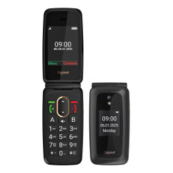 Gigaset S30853-H1235-R101 GL795, Barra, SIM única, 7,11 cm (2.8"), 2 MP, 1400 mAh, Negro