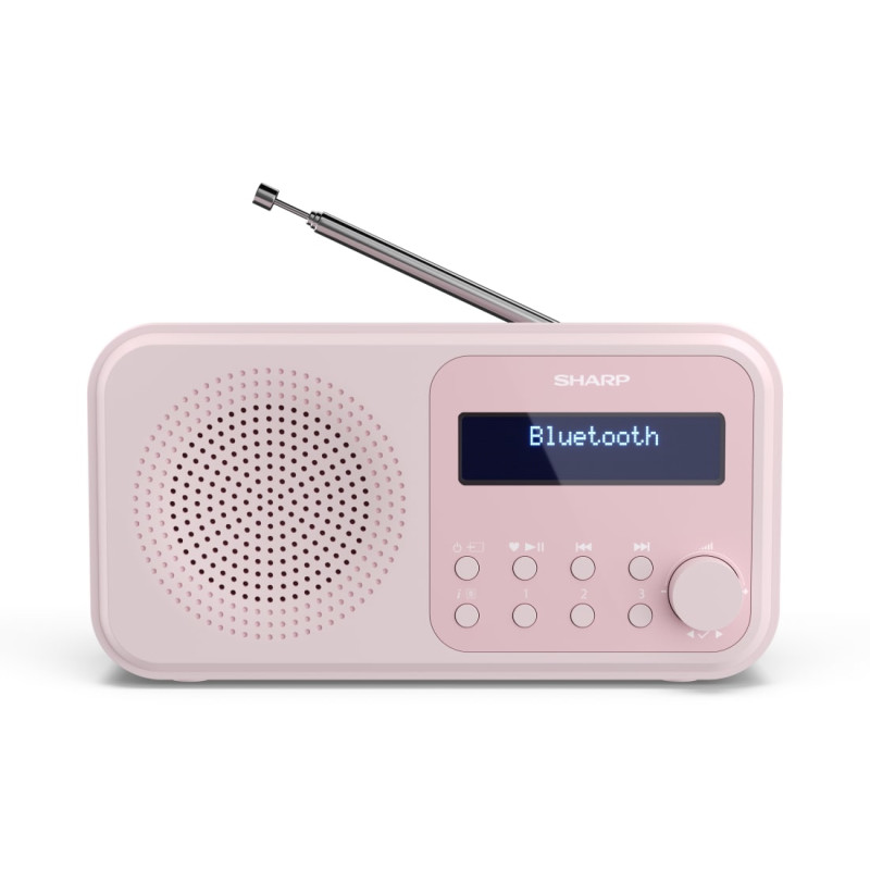 Sharp DR-P420(PK) DR-P420, Portátil, Digital, DAB, DAB+, FM, Exploración automática, Sintonización automática, 2 W, AAC