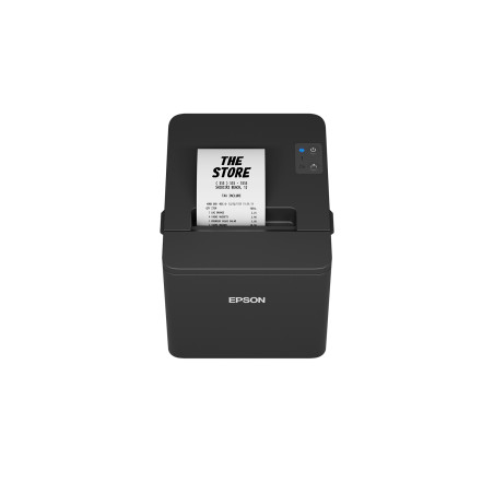 Epson C31CL47101 TM-T20IV, Térmico, Impresora de recibos, 203 x 203 DPI, 250 mm/s, 1,25 x 3 mm, 22,6 carácteres por pulgada