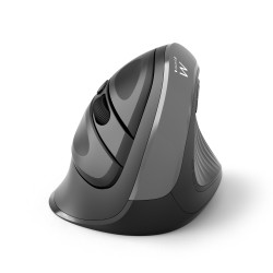 Ewent EW3229 EW3229, mano derecha, Diseño vertical, Óptico, RF inalámbrico, 2400 DPI, Negro, Gris