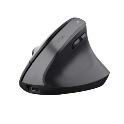 Trust 25146 Bayo+, mano derecha, Diseño vertical, Óptico, RF Wireless + Bluetooth, 2400 DPI, Negro 2