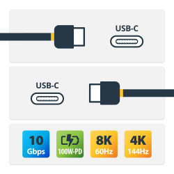 StarTech.com USB31CCSLKV50CM Cable 50cm USB-C con Tornillos Laterales de Fijación - 10Gbps - Cable USB Tipo C USB 3.2 Gen 2 - 2