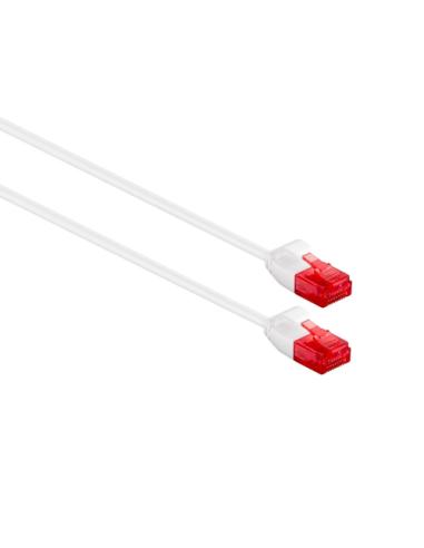 Ewent IM1035 cable de red Blanco 0,25 m Cat6 U/UTP (UTP)