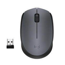Logitech 910-004642 M170 Grey-K, Ambidextro, Óptico, RF inalámbrico, 1000 DPI, Gris