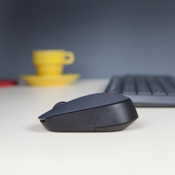 Logitech 910-004642 M170 Grey-K, Ambidextro, Óptico, RF inalámbrico, 1000 DPI, Gris 2