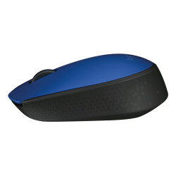 Logitech 910-004640 M171, Ambidextro, Óptico, RF inalámbrico, 1000 DPI, Negro, Azul