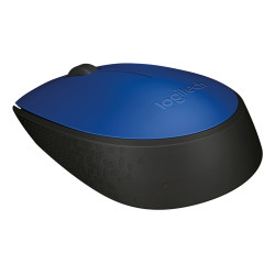 Logitech 910-004640 M171, Ambidextro, Óptico, RF inalámbrico, 1000 DPI, Negro, Azul 2