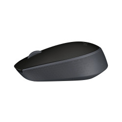 Logitech 910-004424 M171, Ambidextro, Óptico, RF inalámbrico, 1000 DPI, Negro, Gris
