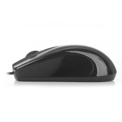 NGS MIST Black Mist, mano derecha, Óptico, USB tipo A, 800 DPI, Negro 2