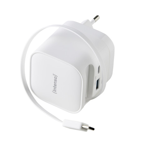 Intenso 7806522 7806520, Universal, Interior, 110 - 240 V, 50/60 Hz, 65 W, 11 V