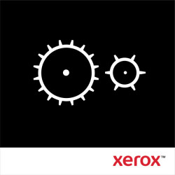 Xerox 109R00732 Kit de mantenimiento Phaser 5500/5550 a 220 voltios (300.000 págs.), Phaser 5500 Phaser 5550, Países Bajos,