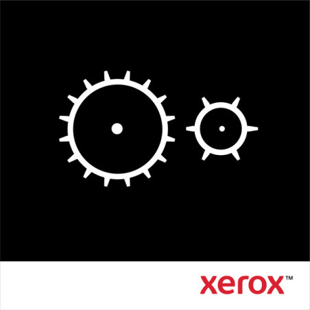 Xerox 109R00732 Kit de mantenimiento Phaser 5500/5550 a 220 voltios (300.000 págs.), Phaser 5500 Phaser 5550, Países Bajos,