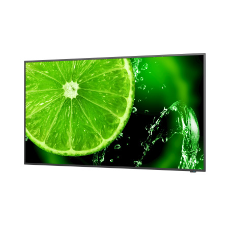 NEC 60005045 MultiSync E438, Pantalla plana para señalización digital, 108 cm (42.5"), LCD, 3840 x 2160 Pixeles, 16/7
