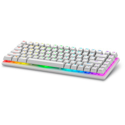 Alienware PRO-KB-W-WW Pro Wireless Gaming Keyboard, 75%, Inalámbrico y alámbrico, USB + RF Wireless + Bluetooth, Interruptor