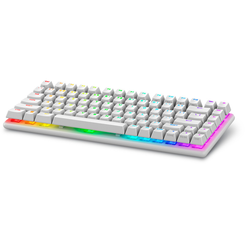 Alienware PRO-KB-W-WW Pro Wireless Gaming Keyboard, 75%, Inalámbrico y alámbrico, USB + RF Wireless + Bluetooth, Interruptor