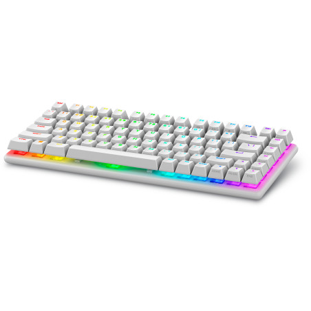 Alienware PRO-KB-W-WW Pro Wireless Gaming Keyboard, 75%, Inalámbrico y alámbrico, USB + RF Wireless + Bluetooth, Interruptor
