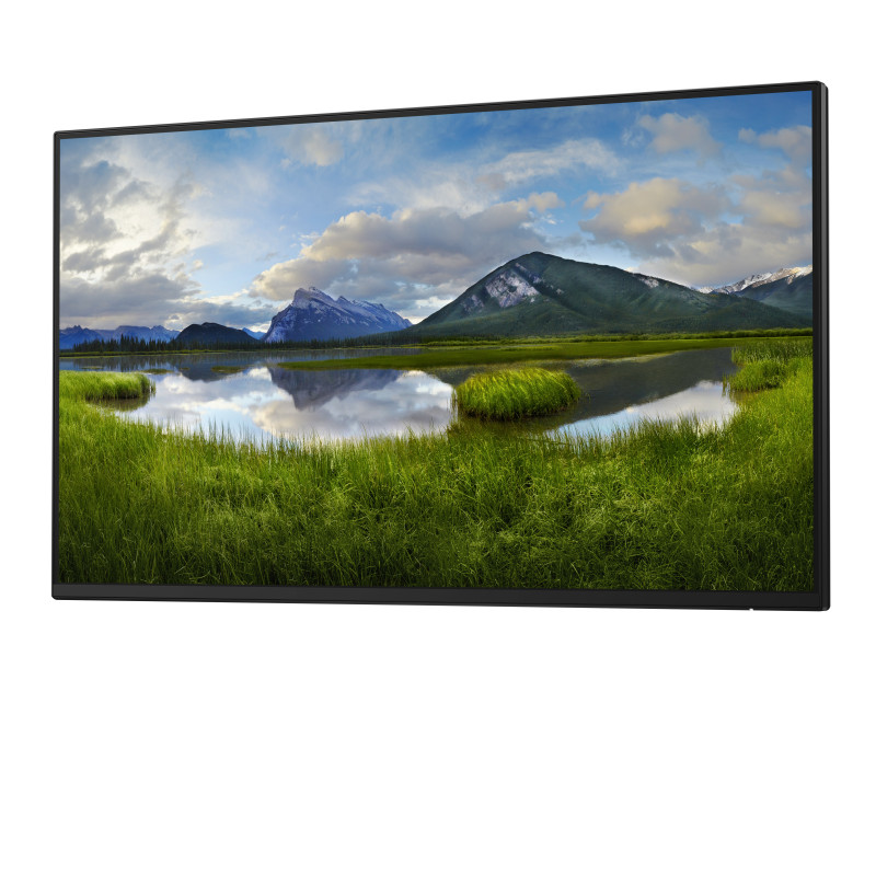 DELL DELL-P2425HEWO Pro Plus P2425HE_WOST, 61 cm (24"), 1920 x 1080 Pixeles, Full HD, LCD, 8 ms, Negro