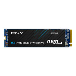 PNY M280CS1030-500-RB CS1030, 500 GB, M.2