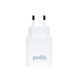iggual IGG318188 Cargador de pared 1xUSB 5V/2.4A (12W), Interior, Corriente alterna, 5 V, 2,4 A, Blanco