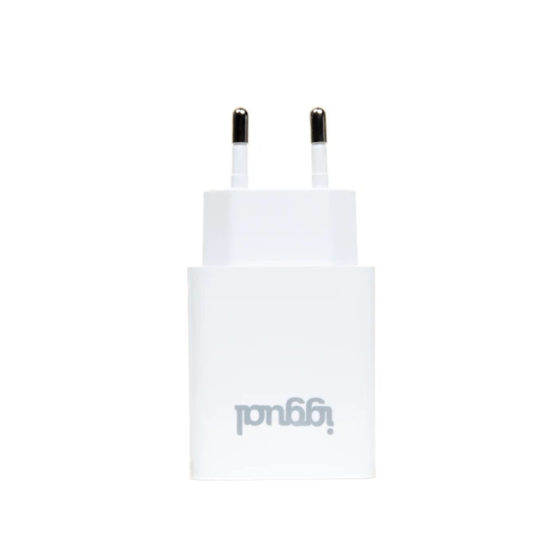 iggual IGG318188 Cargador de pared 1xUSB 5V/2.4A (12W), Interior, Corriente alterna, 5 V, 2,4 A, Blanco