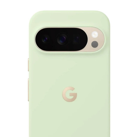 Google GA09834-WW Pixelsnap, Funda, Google, Pixel 10 Pro XL, 17,3 cm (6.8"), Verde
