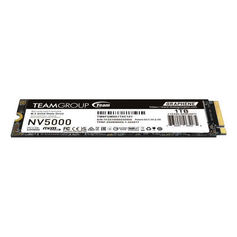 Team Group TM8FGM001T0C101 NV5000, 1 TB, M.2, 4500 MB/s
