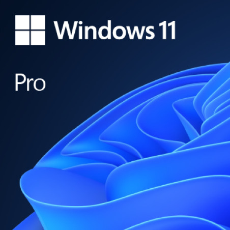 Microsoft FQC-10534 Windows 11 Pro, Fabricante de equipos originales (OEM), 1 licencia(s), Alemán, 64 GB, 4 GB, 1 GHz