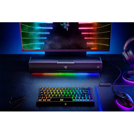 Razer RZ05-03920100-R3G1 Leviathan V2, 65 W, 65 W, 2 cm, 9,5 cm, 45 - 20000 Hz, Negro