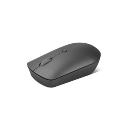 Lenovo GY51D20867 540, Ambidextro, Óptico, RF inalámbrico, 2400 DPI, Gris