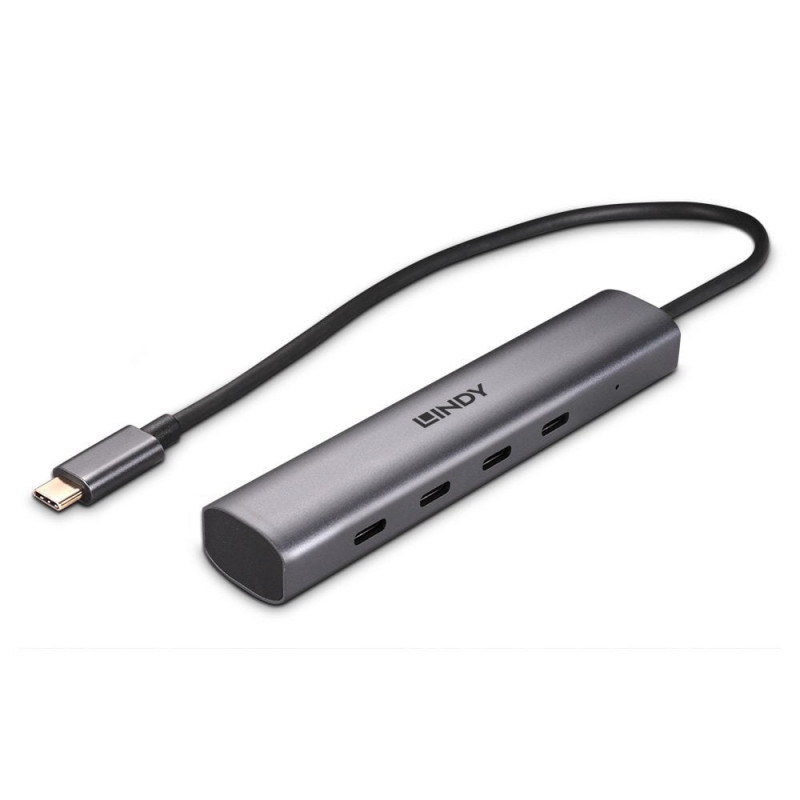 Lindy 43384 43384, USB Tipo C, USB 3.2 Gen 2 (3.1 Gen 2) Type-C, 10000 Mbit/s, Gris, Aluminio, Plástico, 0,255 m
