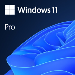 Microsoft FQC-10528 Windows 11 Pro, Fabricante de equipos originales (OEM), 1 licencia(s), Inglés, 64 GB, 4 GB, 1 GHz