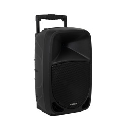 Fonestar MALIBU-310 MALIBU-310, Inalámbrico y alámbrico, 100 W, Negro 2