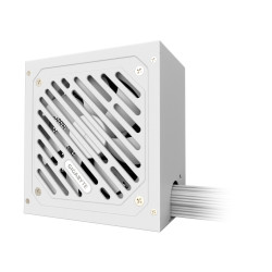 GIGABYTE GP-P550SS ICE EU P550SS ICE Fuente de Alimentación - PCIe 5.0, 80 PLUS Silver, Ventilador de 120 mm, Compatible con 2