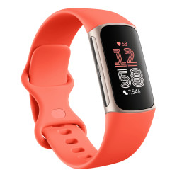 Fitbit GA05184-EU Charge 6, Pulsera de actividad, AMOLED, GPS (satélite), Comunicación de Campo Cercano (NFC), A prueba de 2